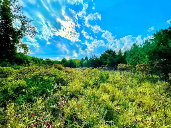 XXX Plainview Drive, Troy Twp, WI 54022