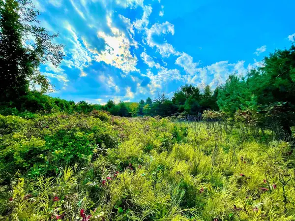 TBD Plainview Drive, River Falls, WI 54022