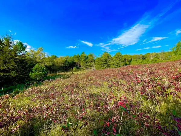 TBD Plainview Drive, River Falls, WI 54022