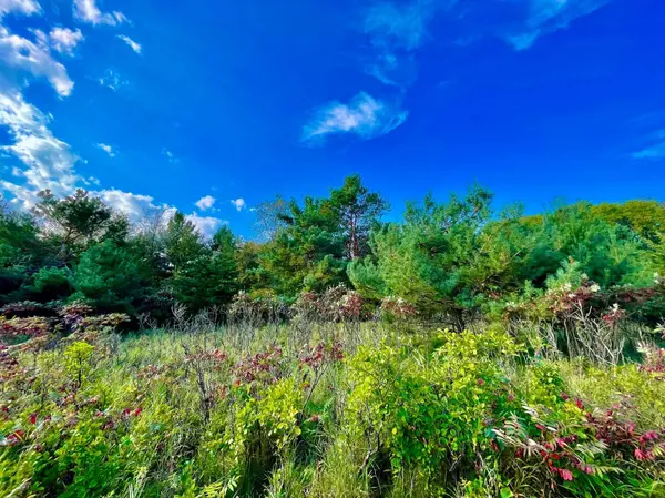 TBD Plainview Drive, River Falls, WI 54022