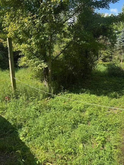 Parcel B Maple Grove, Hastings, MI 49058