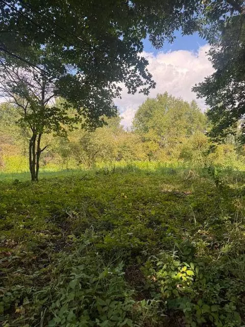 Parcel B Maple Grove, Hastings, MI 49058