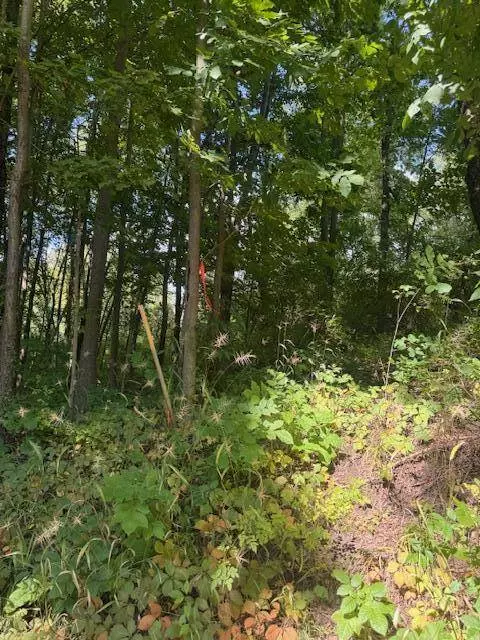 Parcel B Maple Grove, Hastings, MI 49058