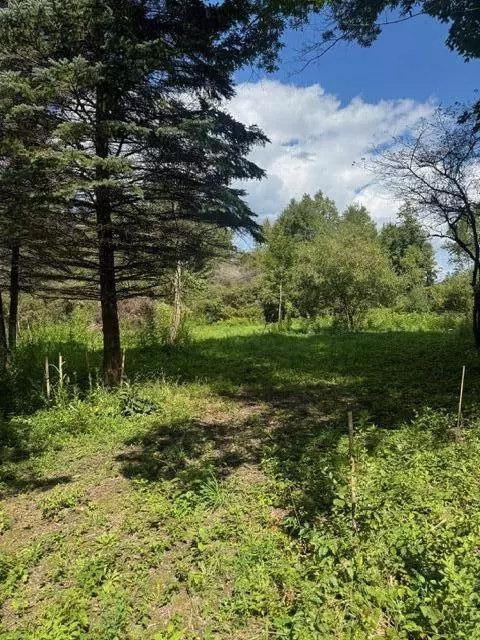 Parcel B Maple Grove, Hastings, MI 49058