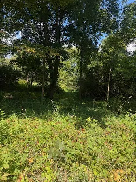 Parcel B Maple Grove, Hastings, MI 49058