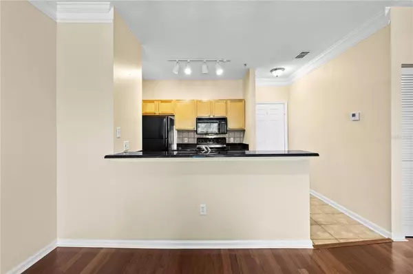 4207 S DALE MABRY HWY #3302, Tampa, FL 33611