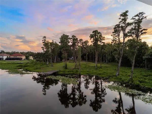 16619 INDIAN MOUND RD, Tampa, FL 33618