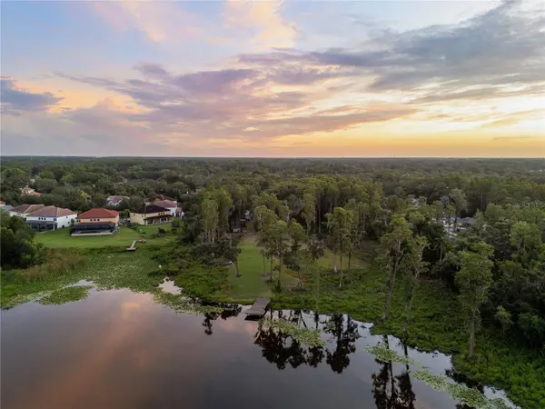 16619 INDIAN MOUND RD, Tampa, FL 33618