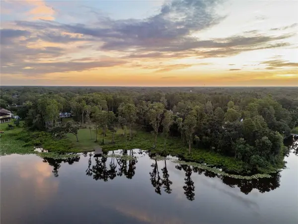 16619 INDIAN MOUND RD, Tampa, FL 33618