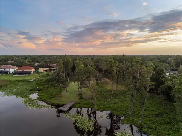 16619 INDIAN MOUND RD, Tampa, FL 33618