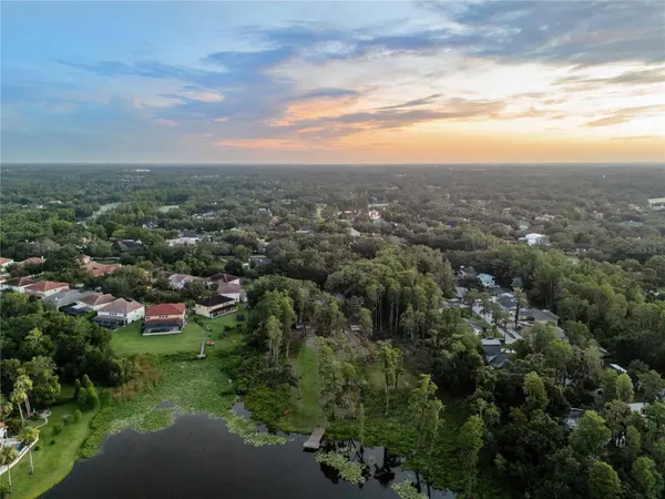 16619 INDIAN MOUND RD, Tampa, FL 33618