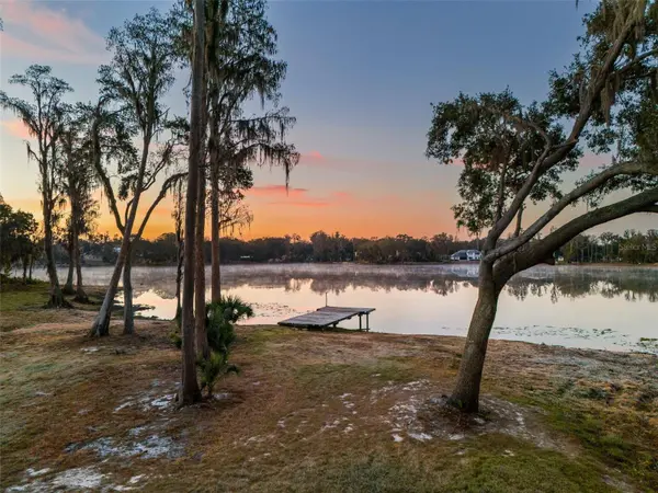 16429 INDIAN MOUND RD, Tampa, FL 33613