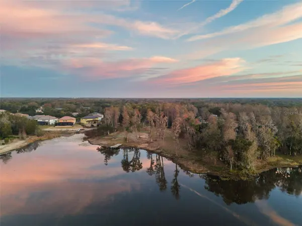 16429 INDIAN MOUND RD, Tampa, FL 33613