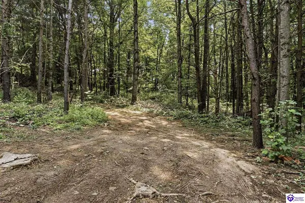 570 Spencer School Road, Hodgenville, KY 42748
