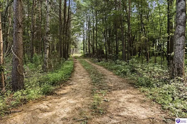 570 Spencer School Road, Hodgenville, KY 42748