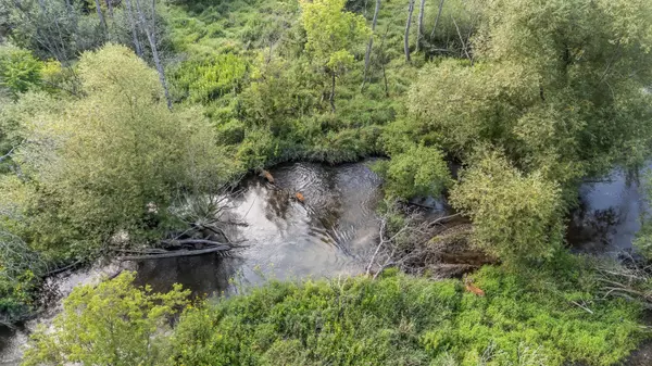 PINE ST, Pine River, WI 54965