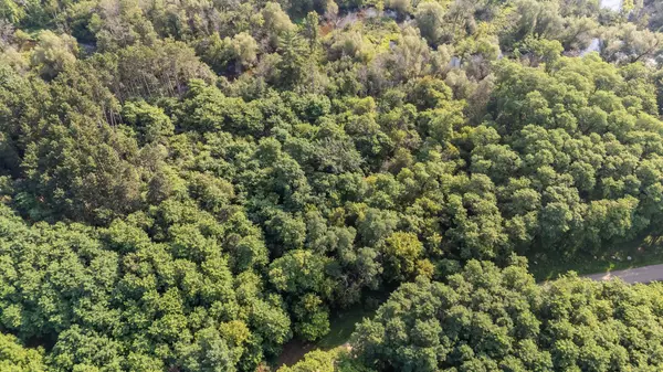 PINE ST, Pine River, WI 54965