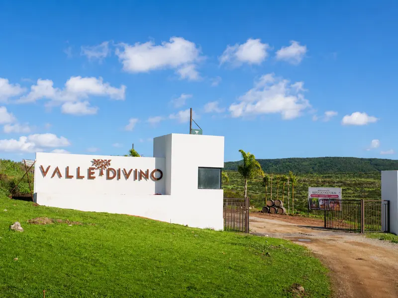 Divino Campestre, Ensenada, Baja 22760