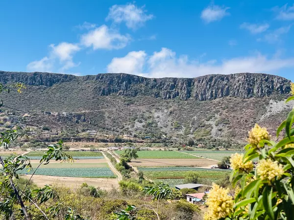 Ensenada, Baja 22765,La Mision #19