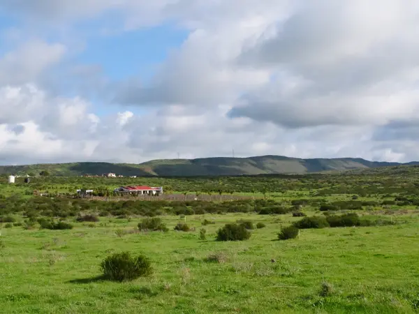 Divino Campestre, Ensenada, Baja 22760
