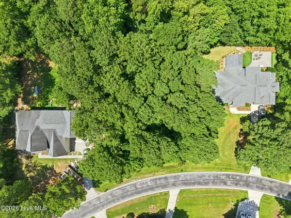 135 Hydrangea LN