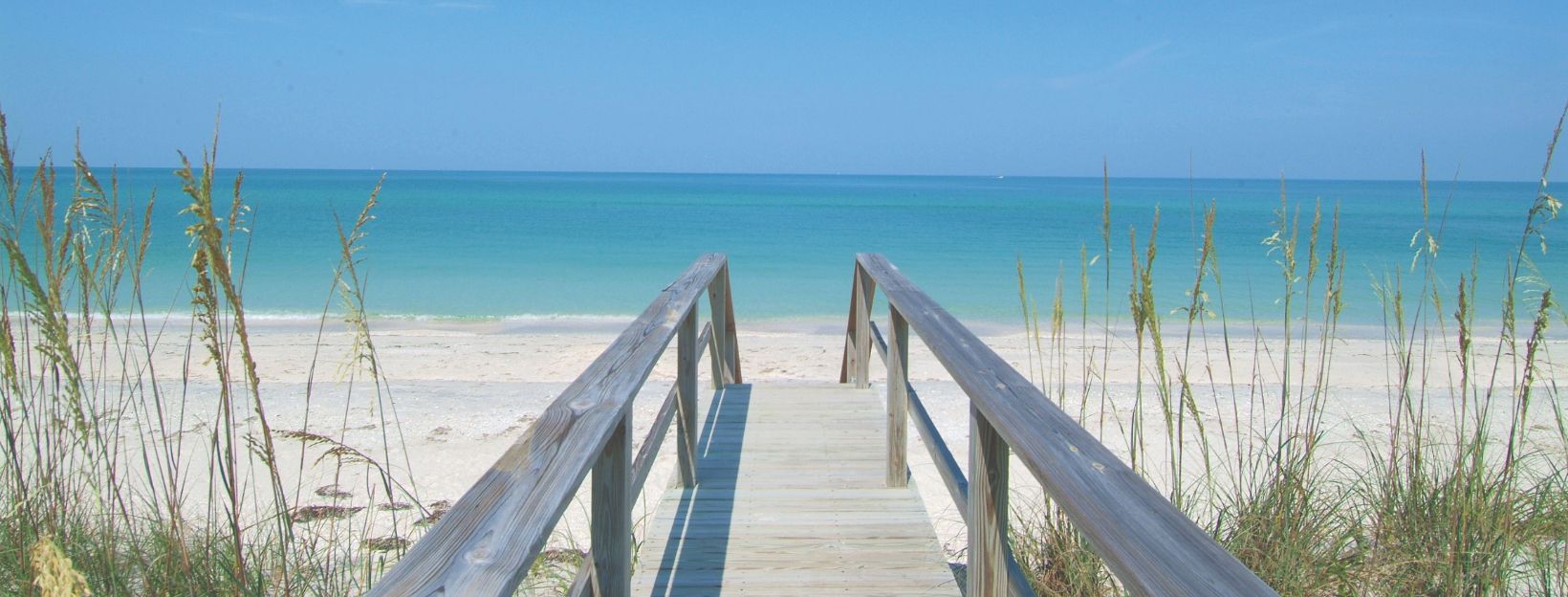 0b1565b523a11a5276c69c1dc6e0ad0cdb5f3915