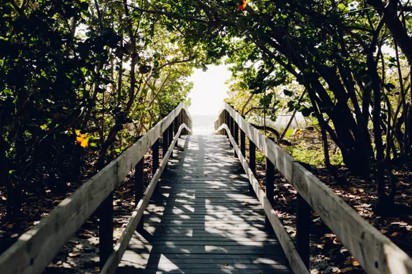 Travel & Adventure in Southwest Florida: Sun, Sand, and Something for Everyone