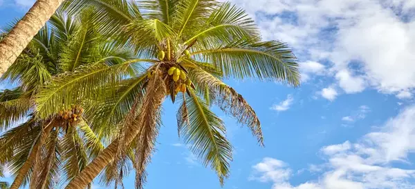 Southwest Florida Real Estate Update Heading into 2026: What Buyers & Sellers Need to Know Right Now,Barbie Christenson