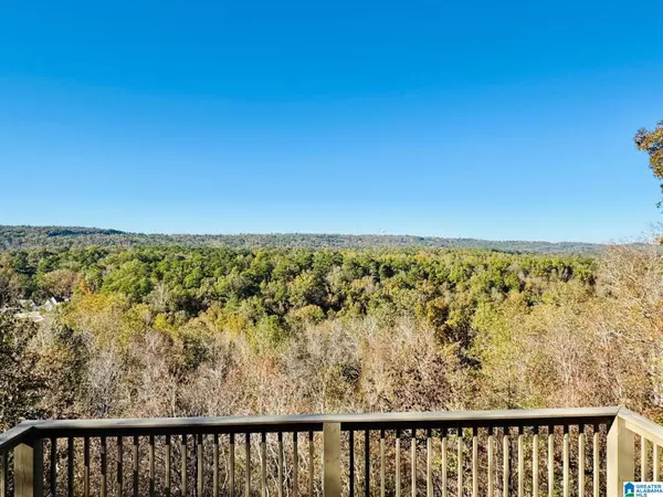 456 CONROY CIRCLE, Sterrett, AL 35147