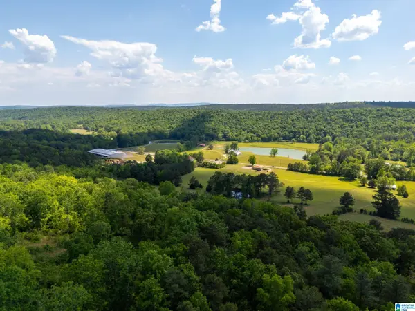 0 HIGHWAY 174 #1, Springville, AL 35146