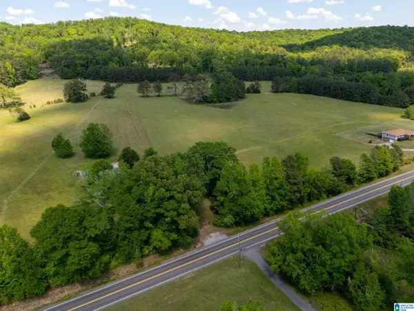 0 HIGHWAY 174 #1, Springville, AL 35146