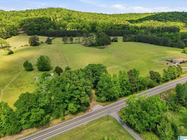 0 HIGHWAY 174 #1, Springville, AL 35146