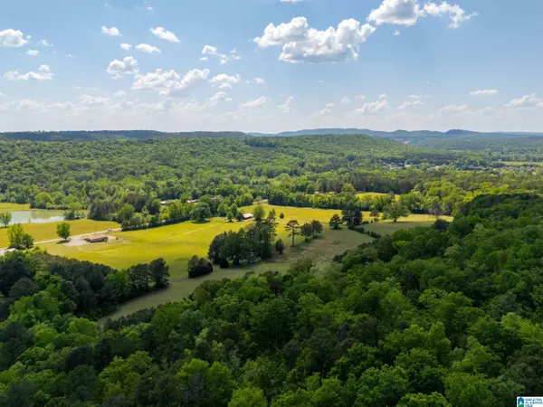 0 HIGHWAY 174 #1, Springville, AL 35146