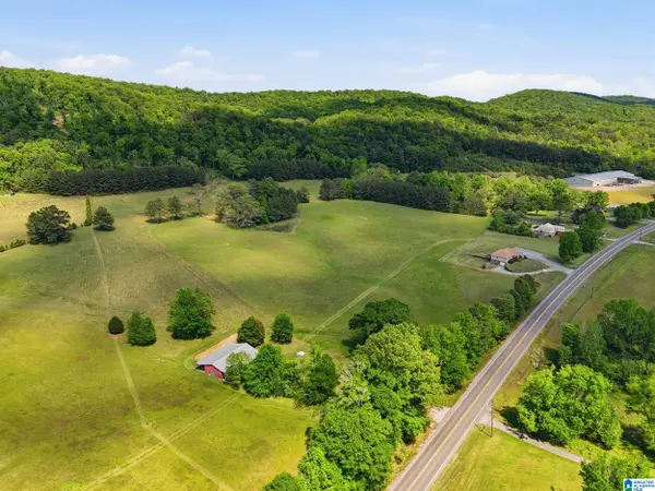 0 HIGHWAY 174 #1, Springville, AL 35146