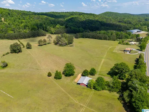 0 HIGHWAY 174 #1, Springville, AL 35146