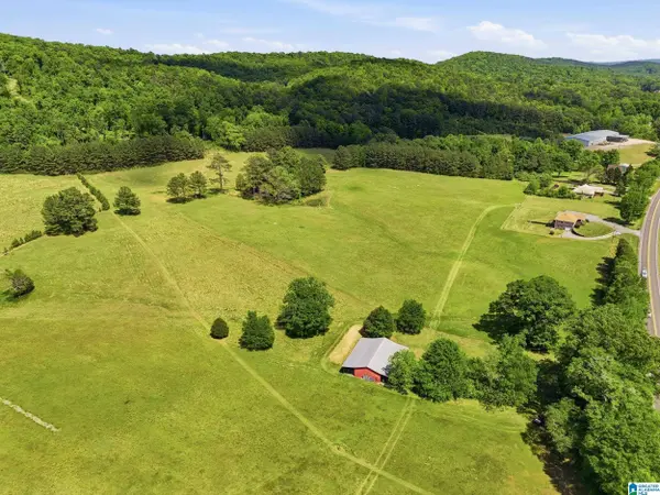 0 HIGHWAY 174 #1, Springville, AL 35146