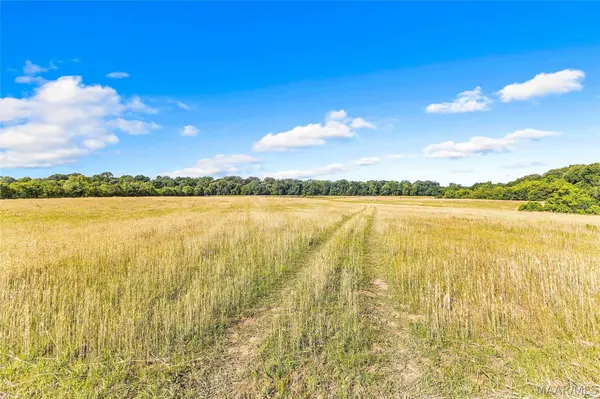 2364 Alabama River Pkwy, Millbrook, AL 36054