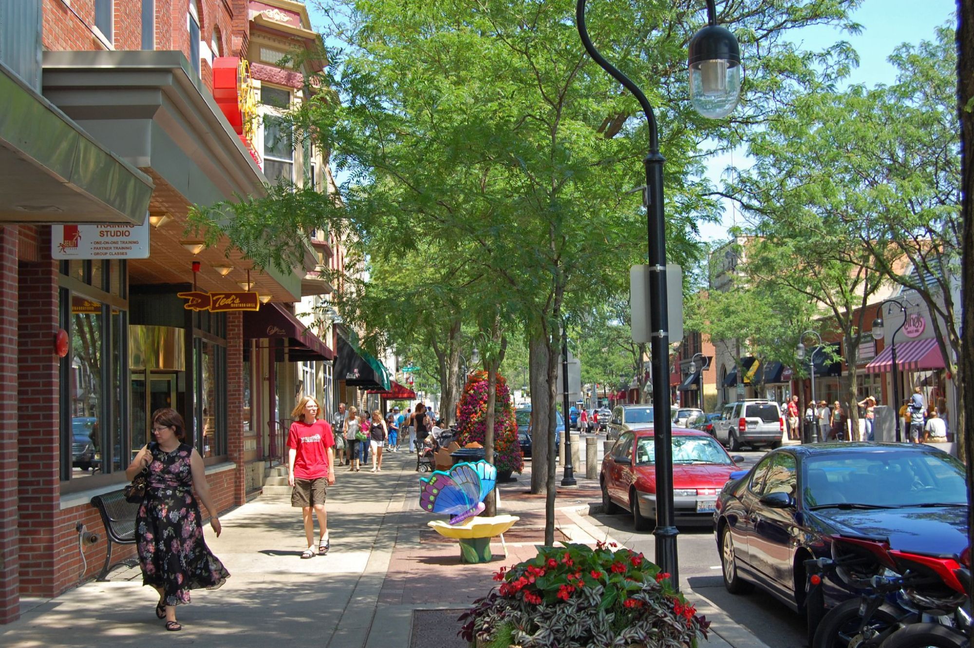 downtown naperville