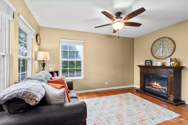 479 Raintree Drive, Oswego, IL 60543