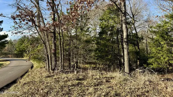 0 N Livingston Road, Ridgeland, MS 39157