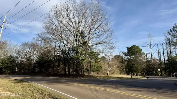 0 N Livingston Road, Ridgeland, MS 39157