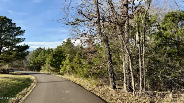 0 N Livingston Road, Ridgeland, MS 39157