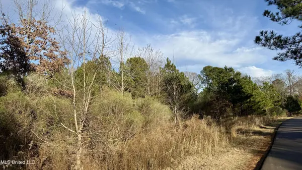 0 N Livingston Road, Ridgeland, MS 39157