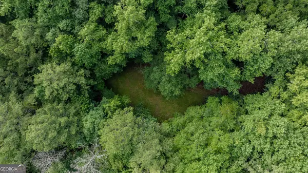 0 Brimer RD #3.907+/- AC, Newnan, GA 30263