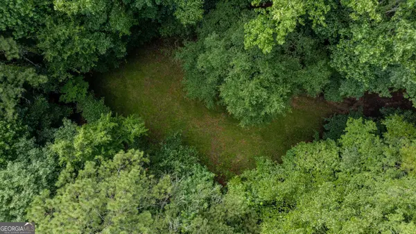 0 Brimer RD #3.907+/- AC, Newnan, GA 30263