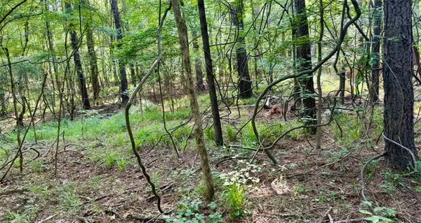 1053 Briarrose, Sparta, GA 31087