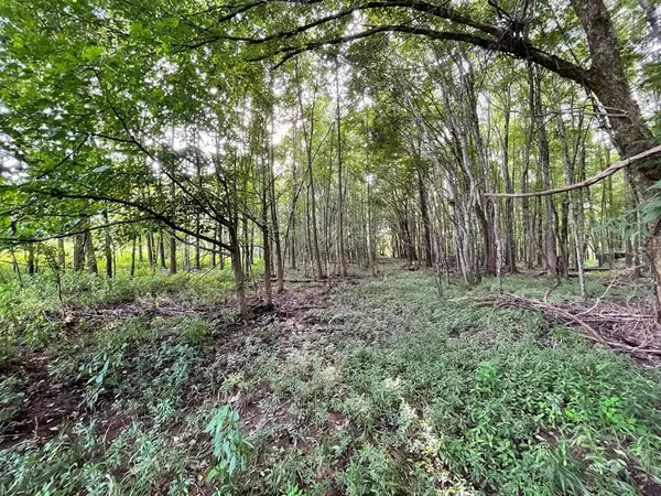 0 Somerset Dr, Paris, TN 38242