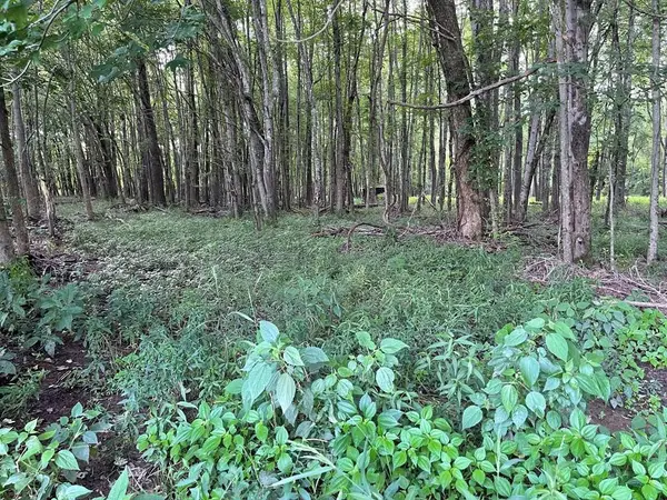 0 Somerset Dr, Paris, TN 38242