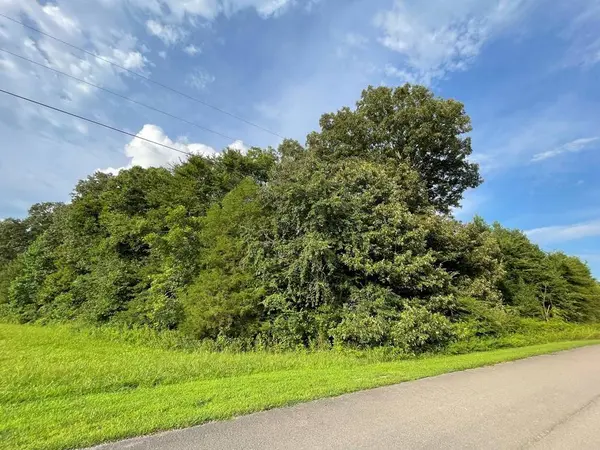 0 Somerset Dr, Paris, TN 38242
