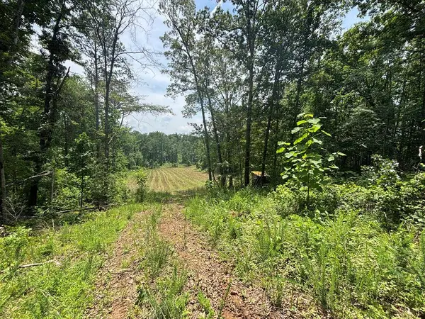 0 Hamilton Rd, Springville, TN 38256
